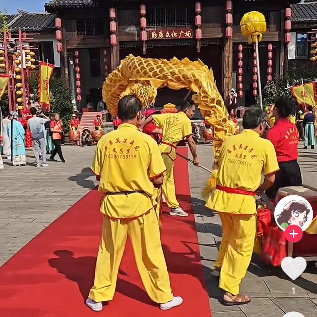 🐅虎虎生威