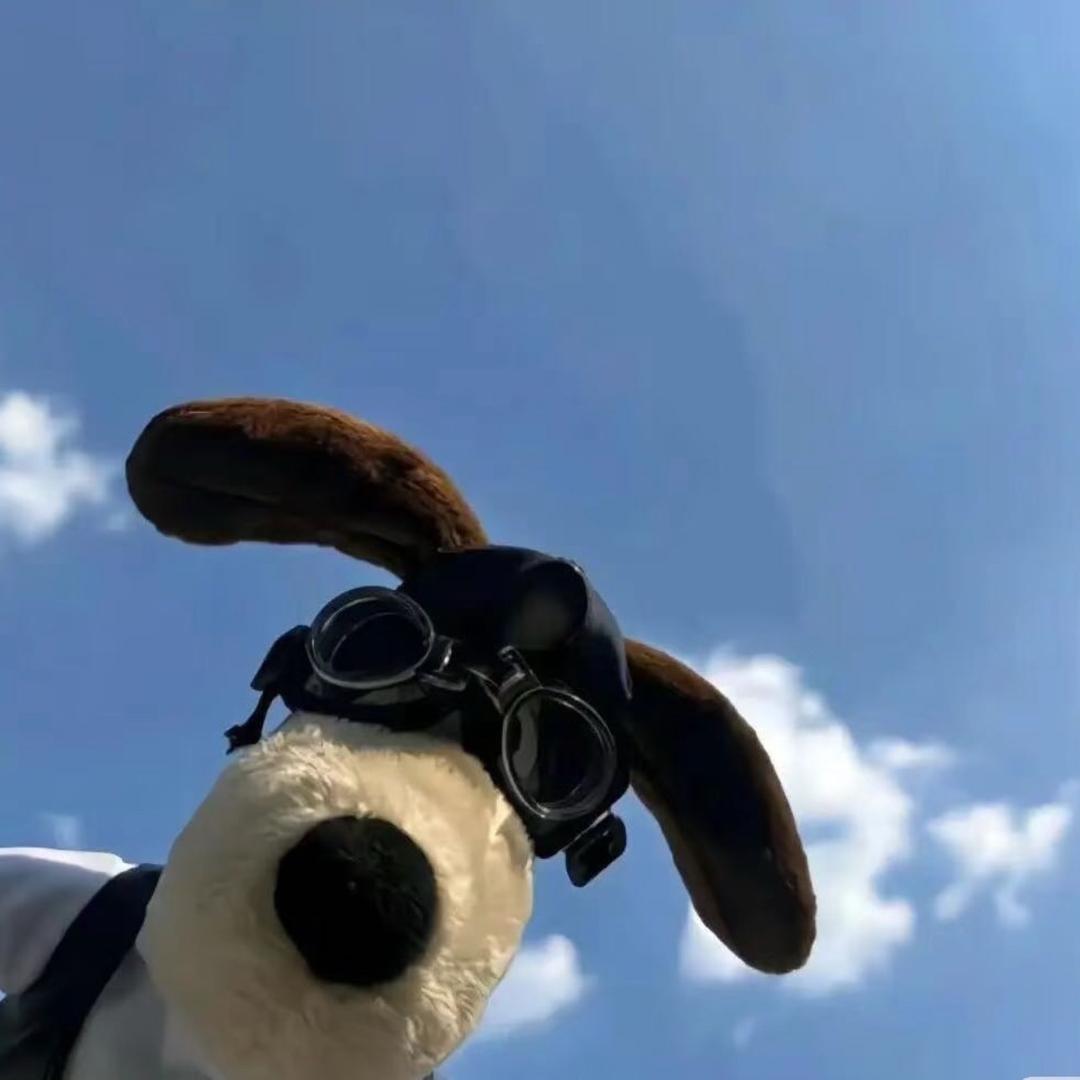 世界上最后一个好男人