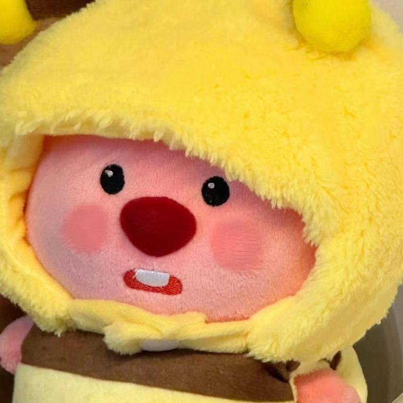 苏州大胖虎驾校🍄