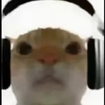 树林（三角洲行动）