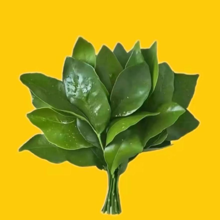 曹云熙超超超有钱（保国）