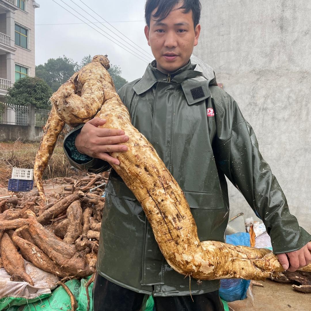 老表大叔生态农产品