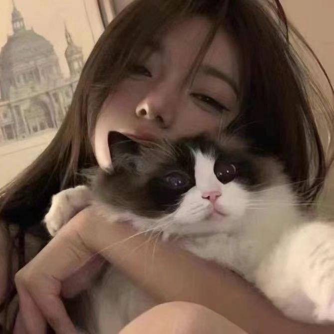 贝贝