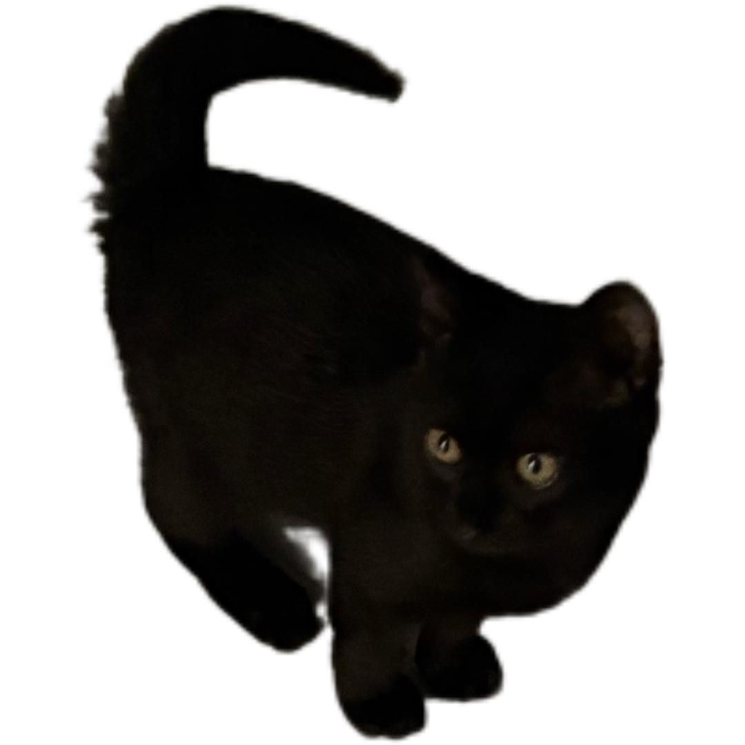 明天下小雨 💎