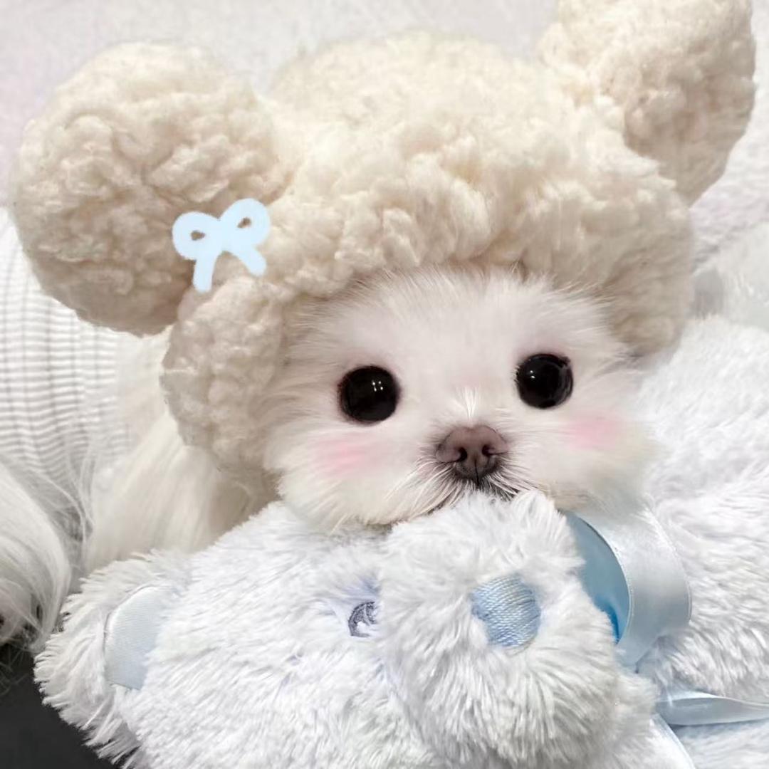 心冷