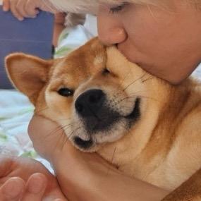 玻璃谎