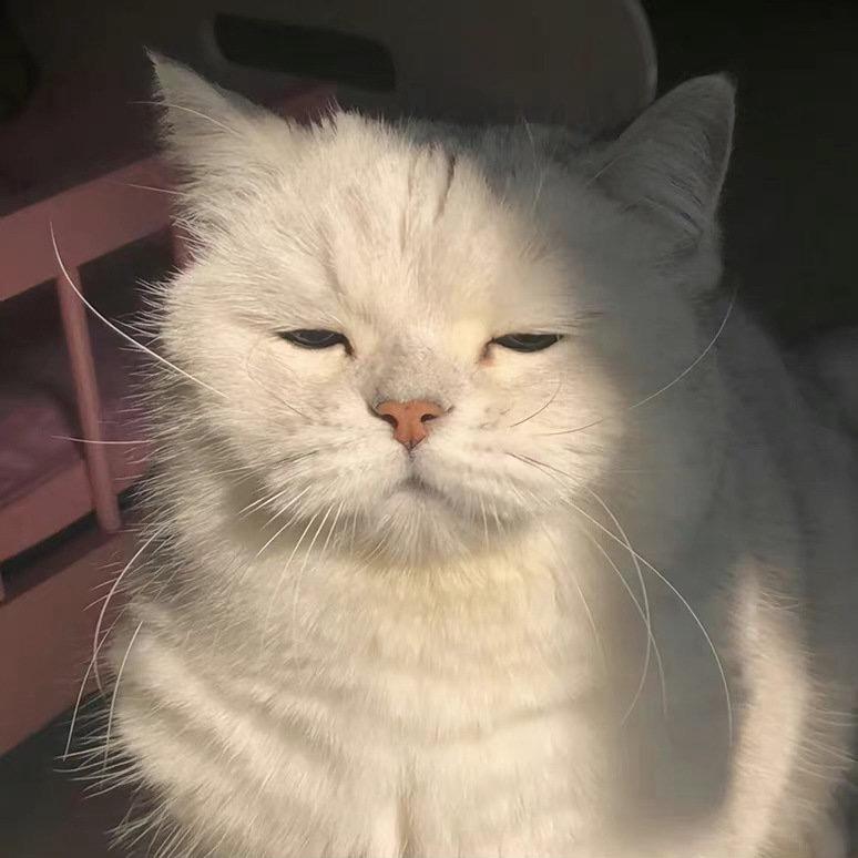 桃了