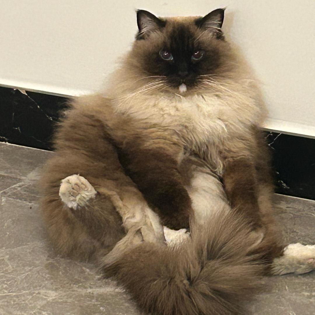 快乐水 happy water