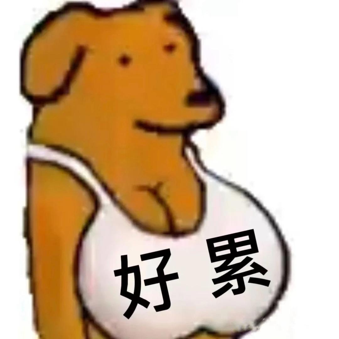 鹅丝窝辣岛🫶🏿
