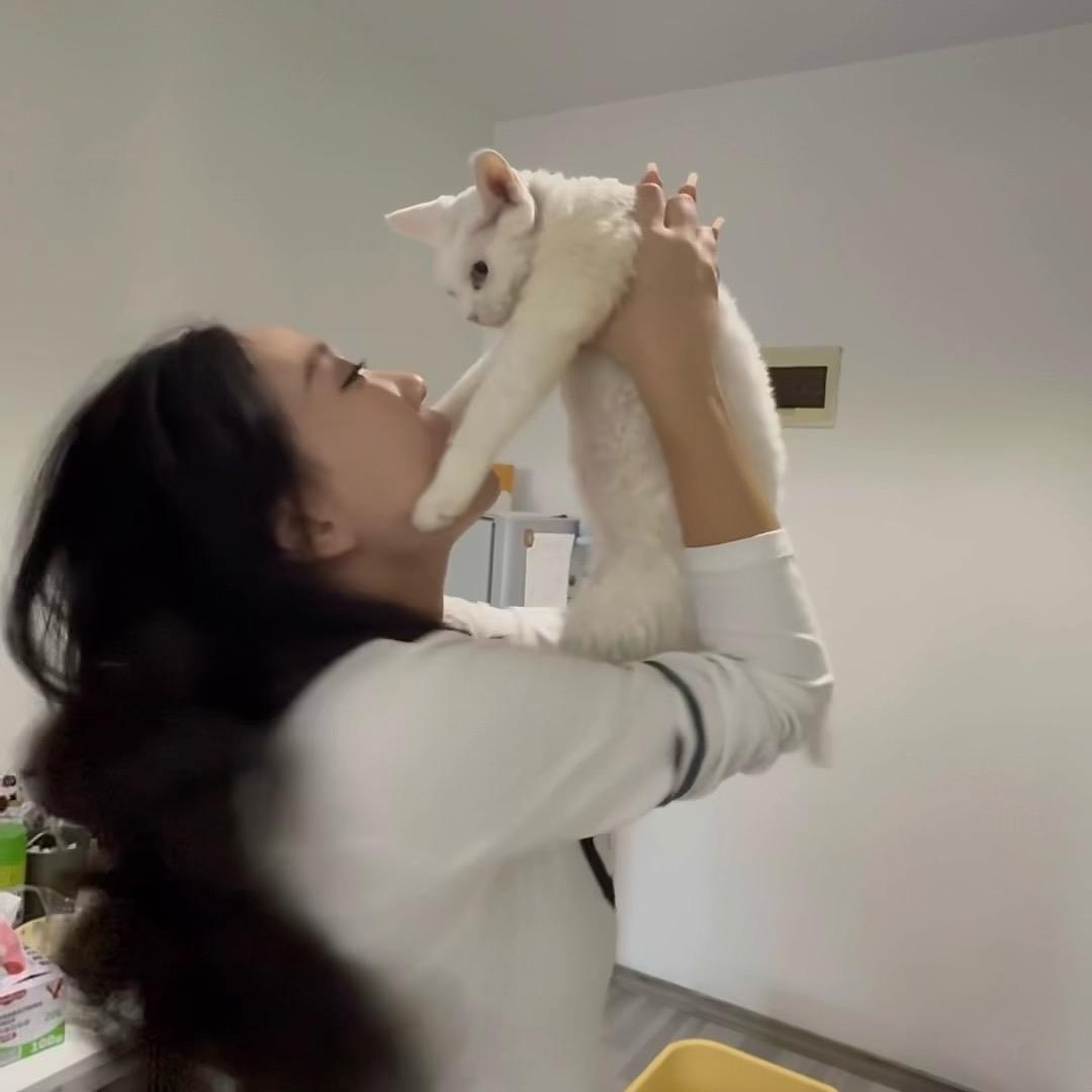 黑A开开（犟女人版）