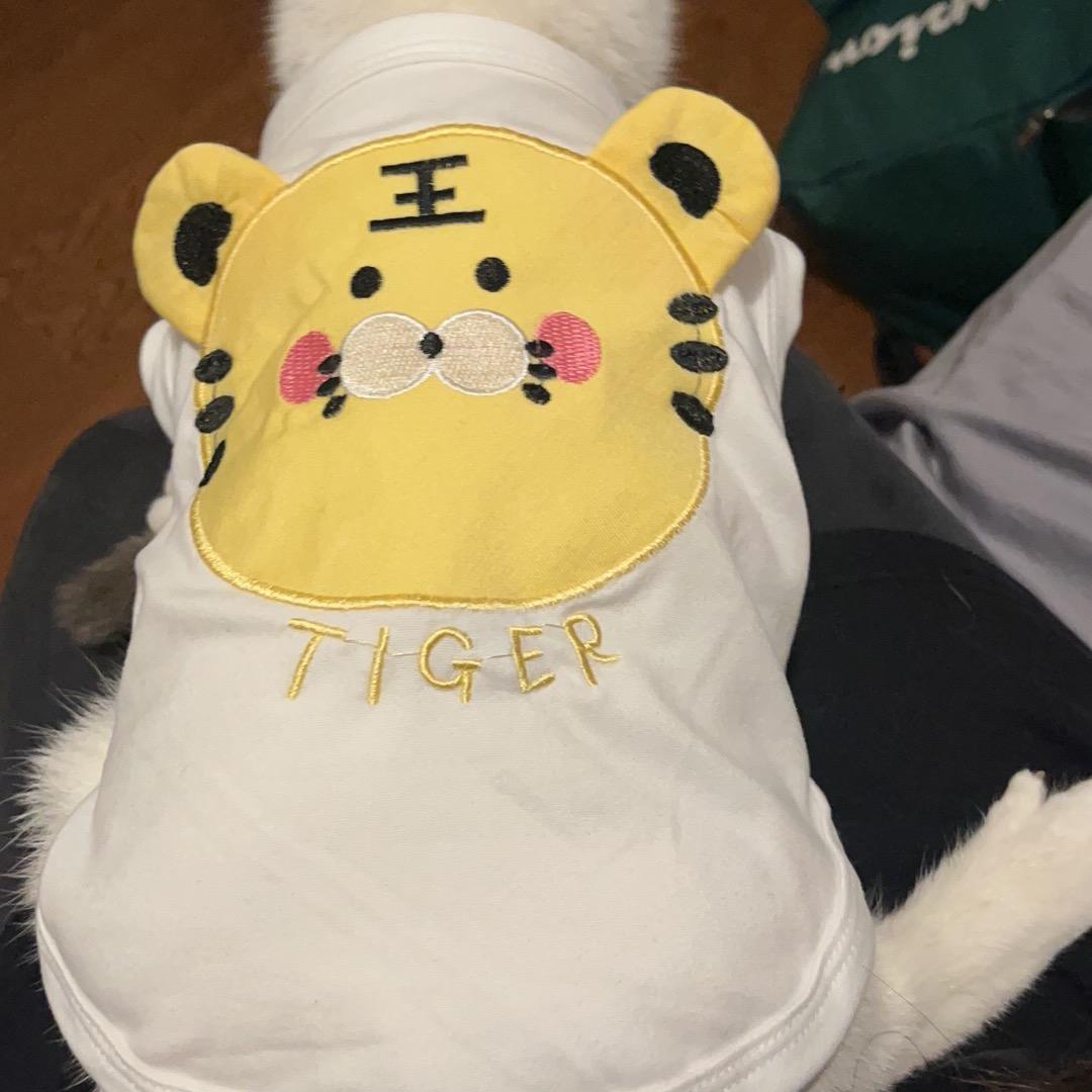 炸炸鱼