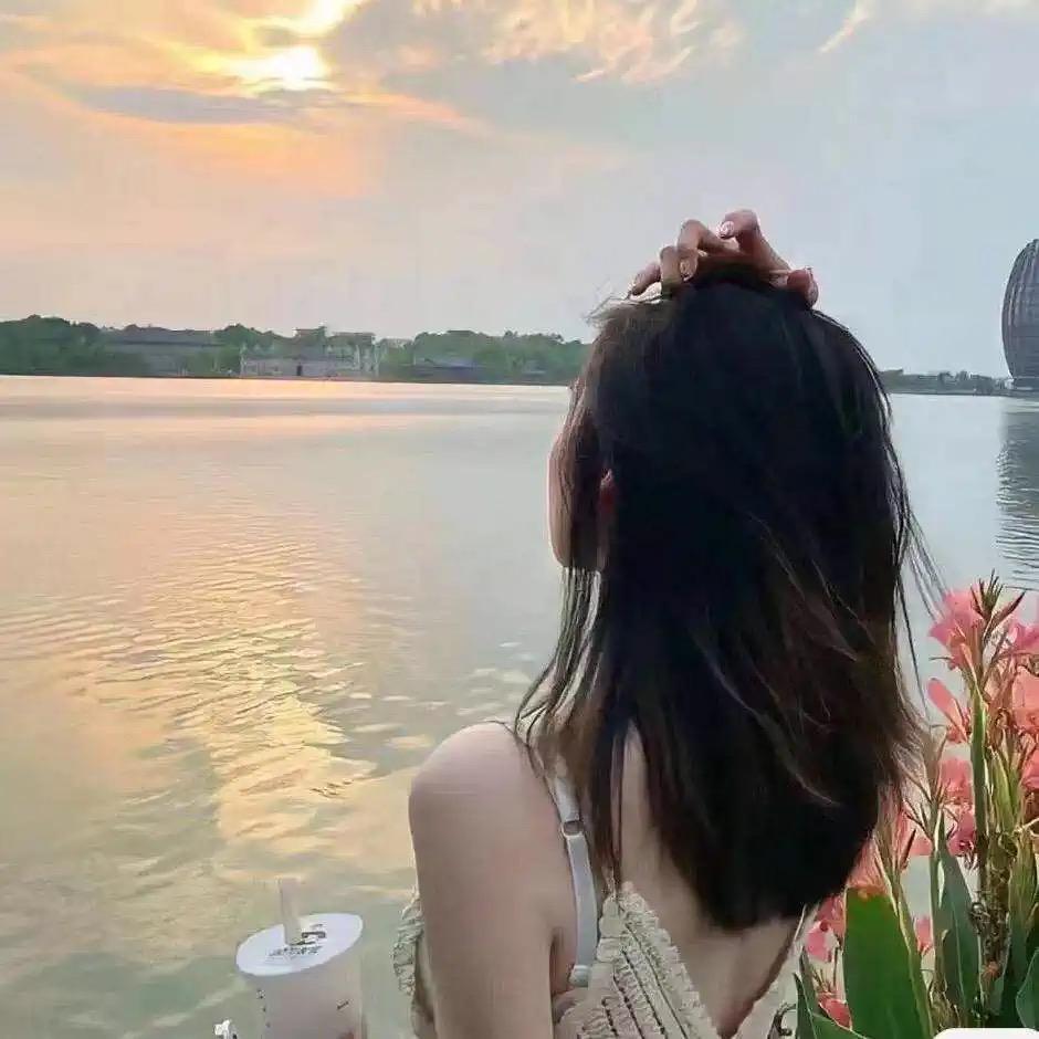 炙焱小欧鸽