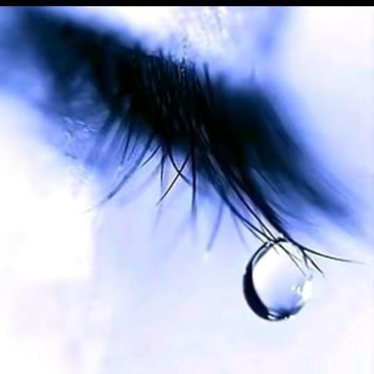 回归《新茶上市》