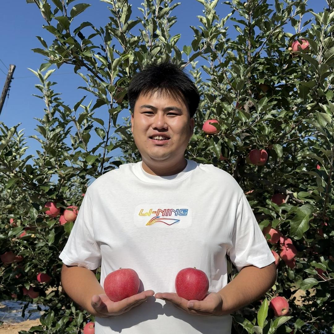 阿峰果园（吉县苹果）