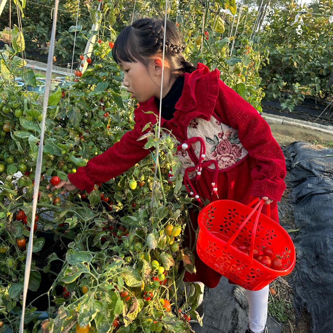 💕大陈小爱💗