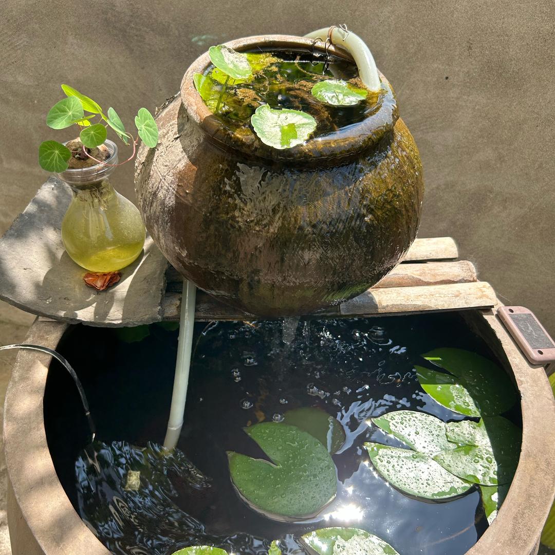 大大姐的农特产