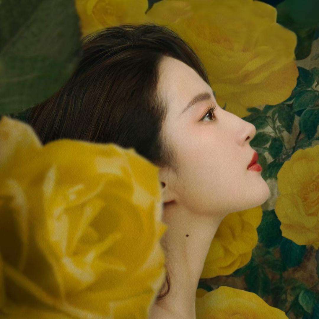 深圳南油现货刘亦菲