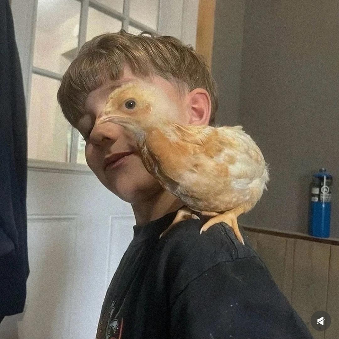 1535