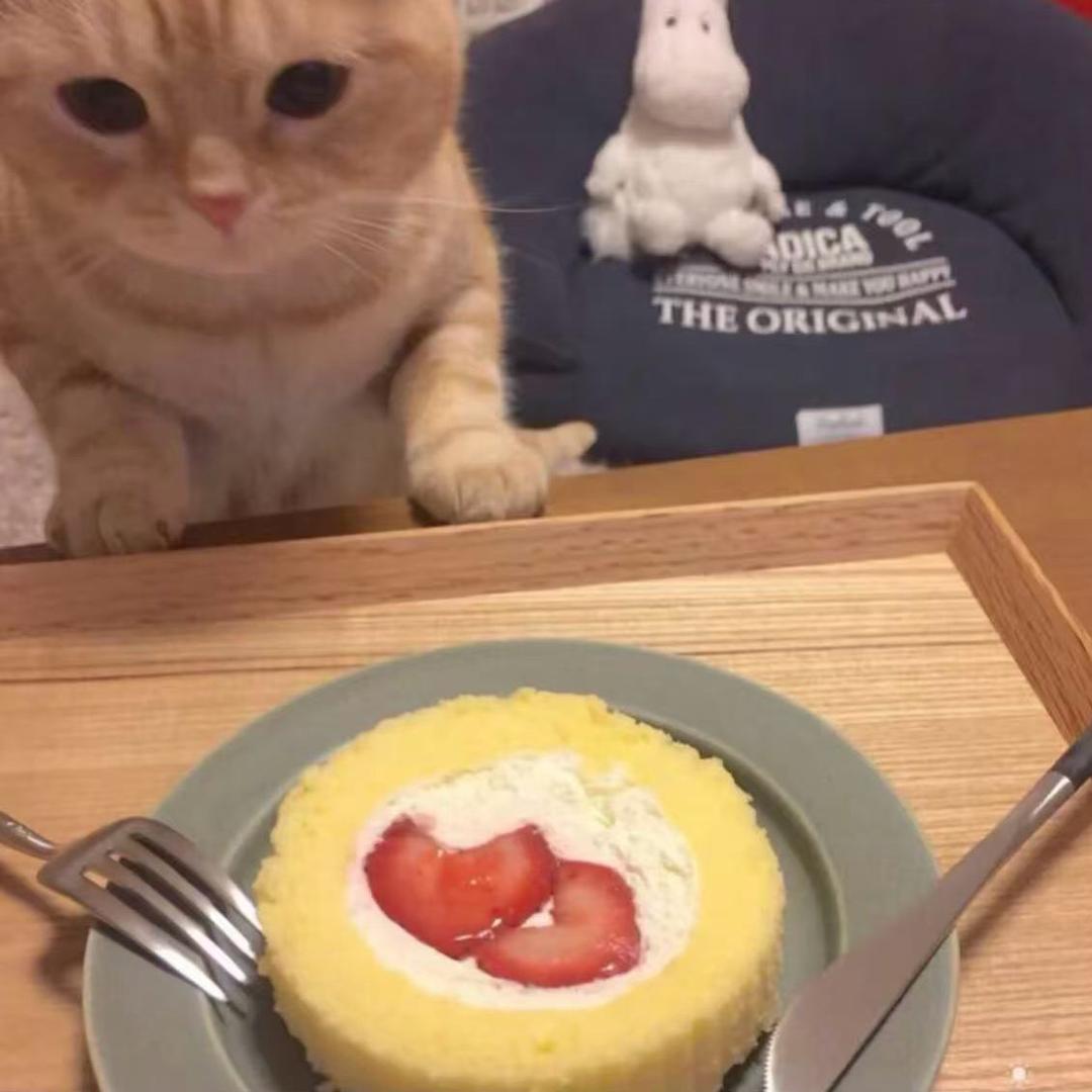 ・_・?