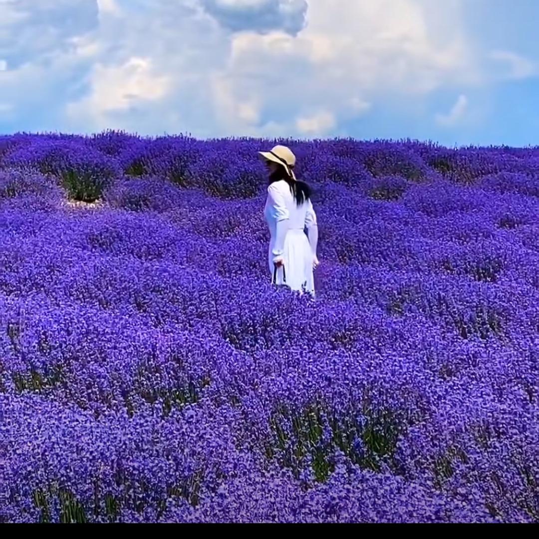 ✈️《为你守护》✈️