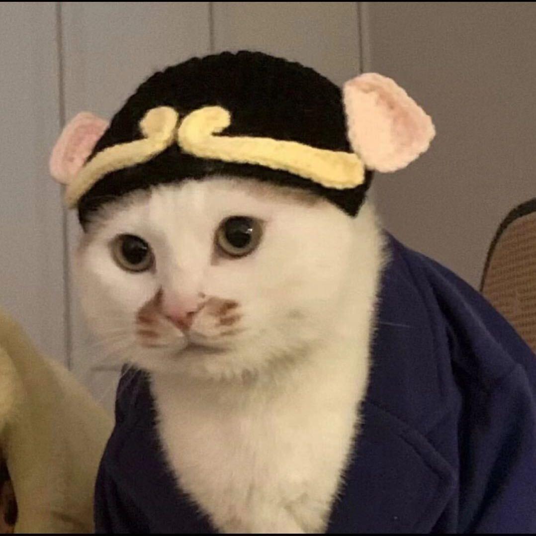 上岸