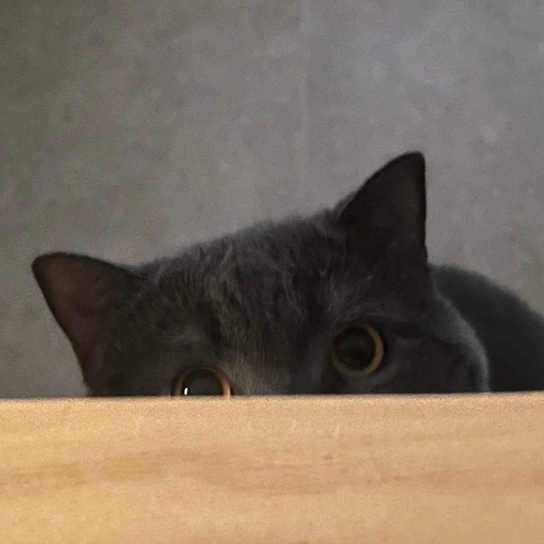 周大发发财给妈花