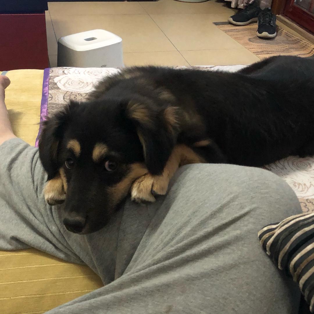 阿福就是小田园