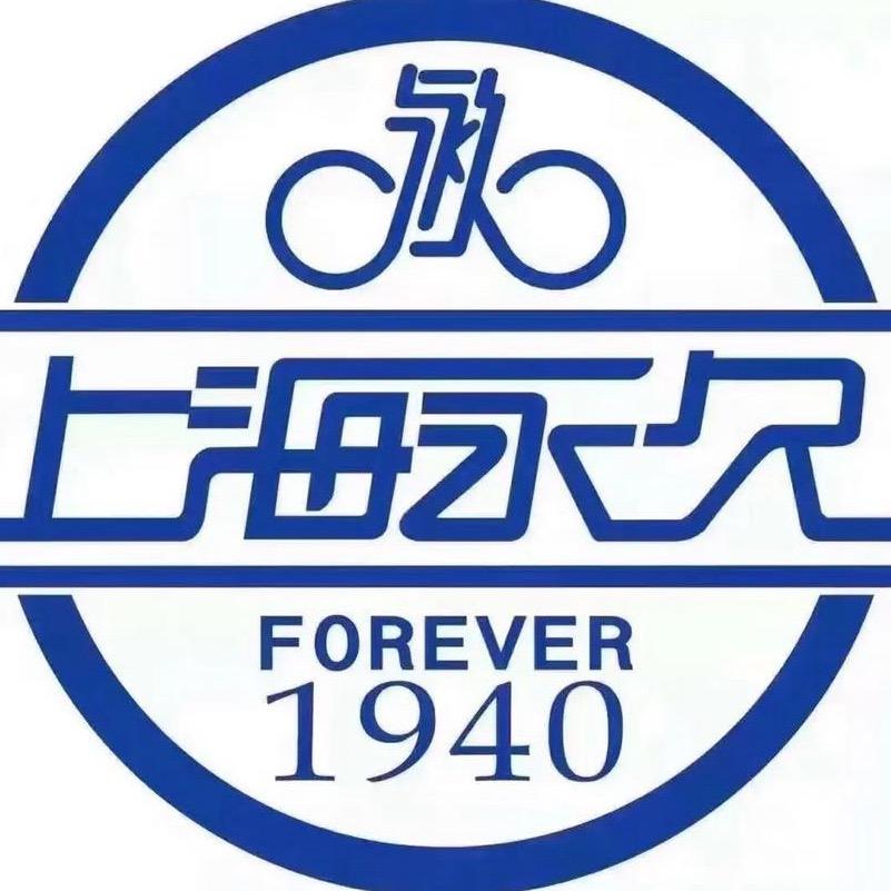 永久电动车大补贴