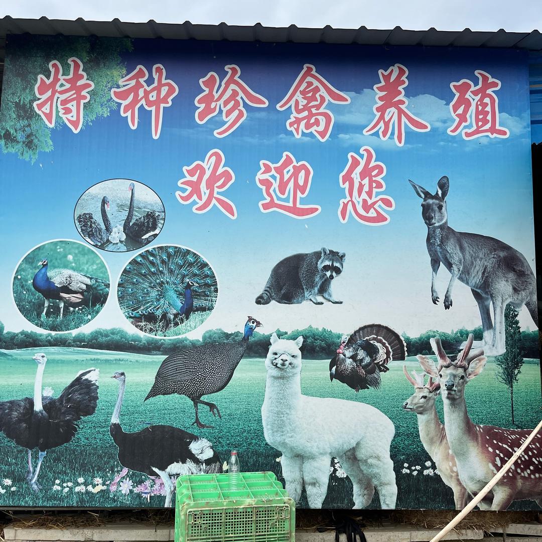 特种观赏动物养殖。（回收各种观赏动物）