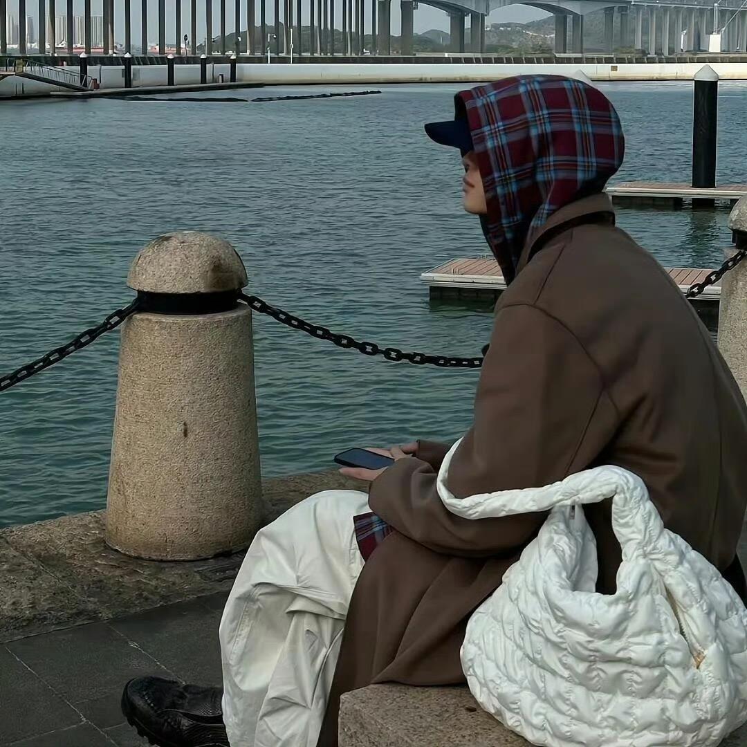 王振.
