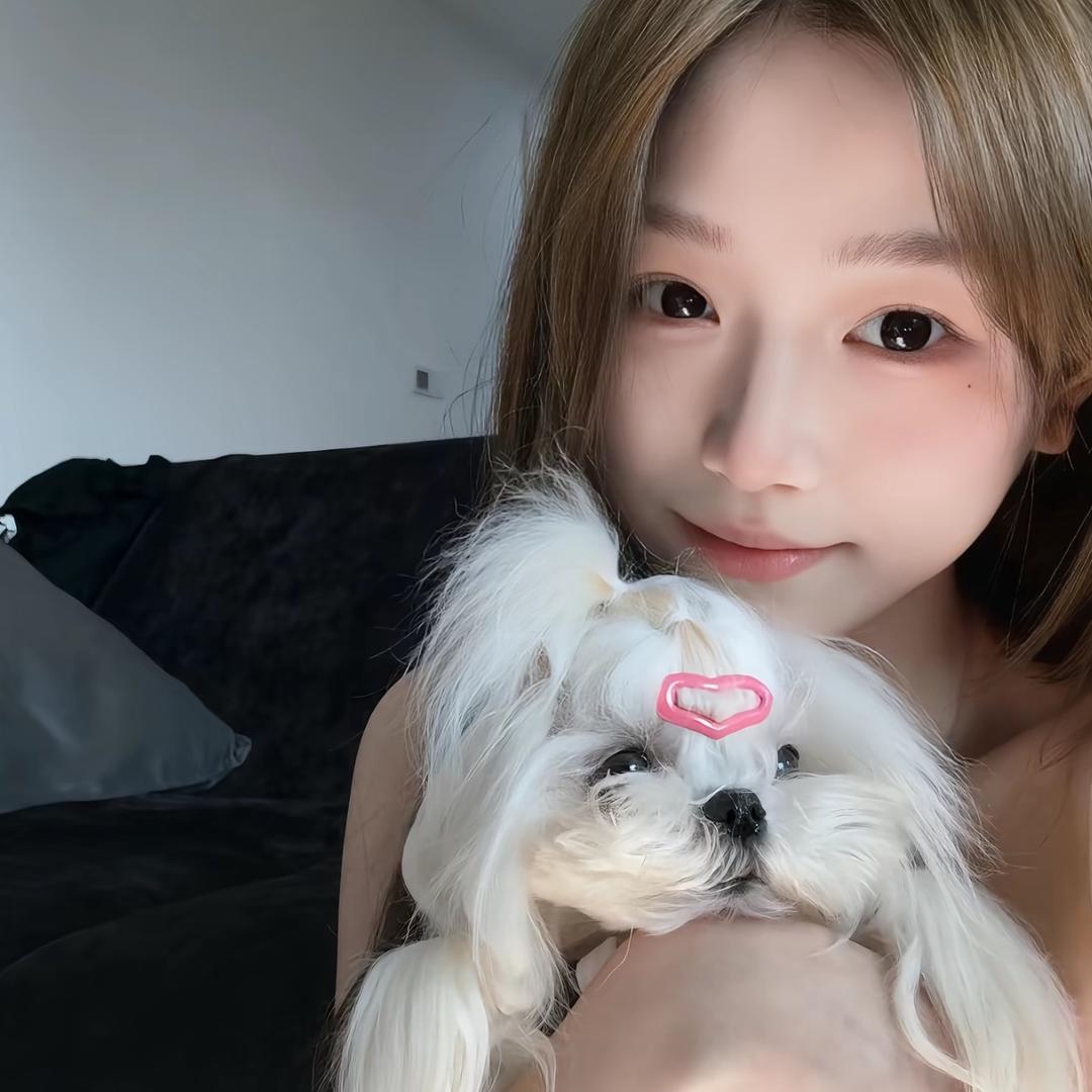 汪汪狗