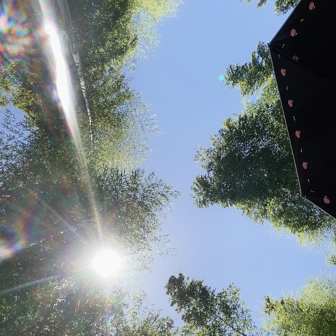 三个宝宝的额娘