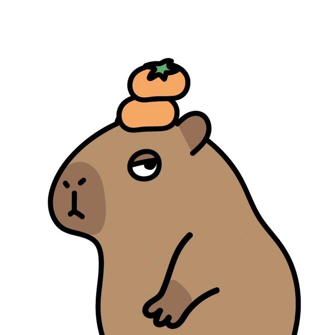 卡皮巴拉（摆烂中）