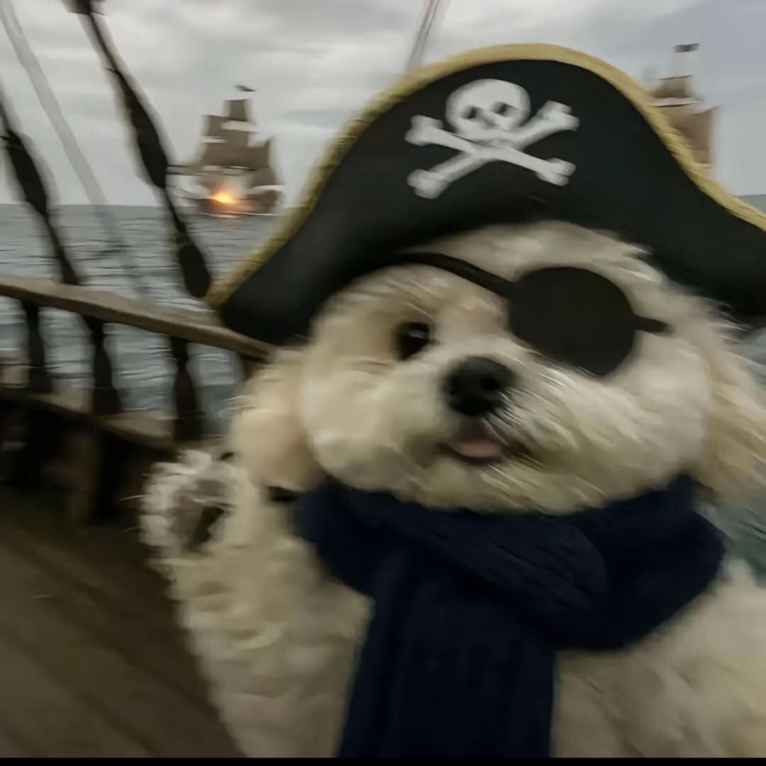 伤感的玉米排骨汤