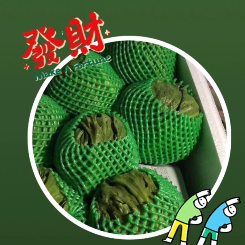坤城生财