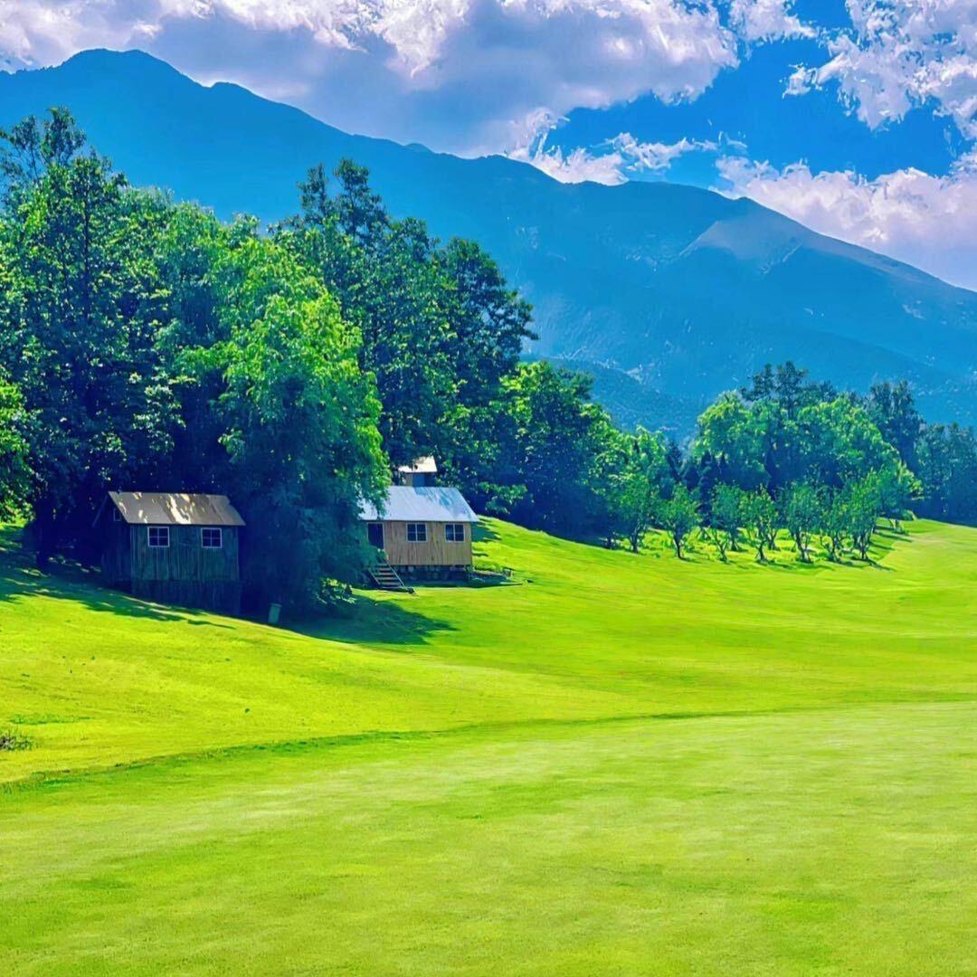 AAA五金建材批发杨