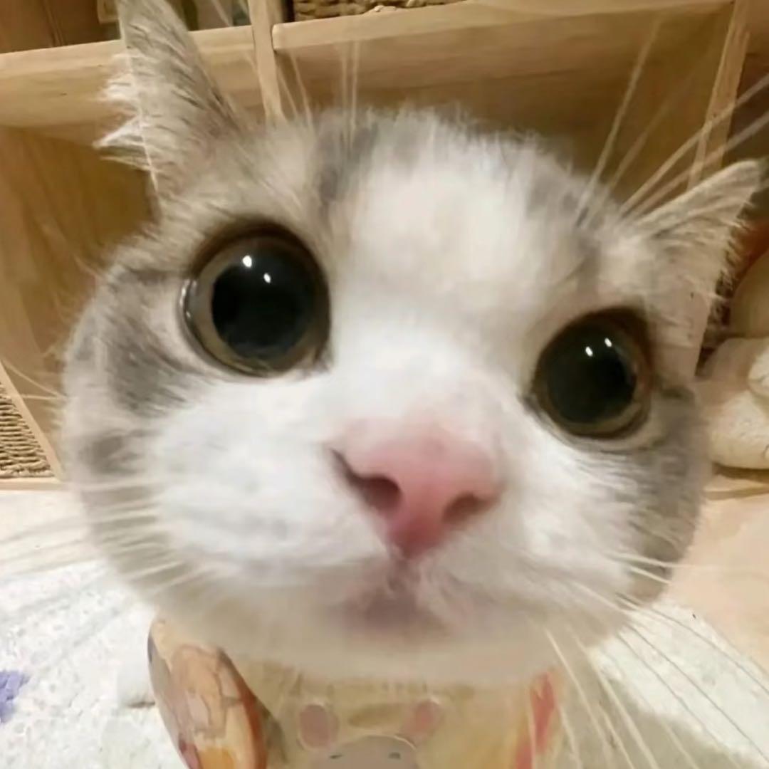 舒芙蕾