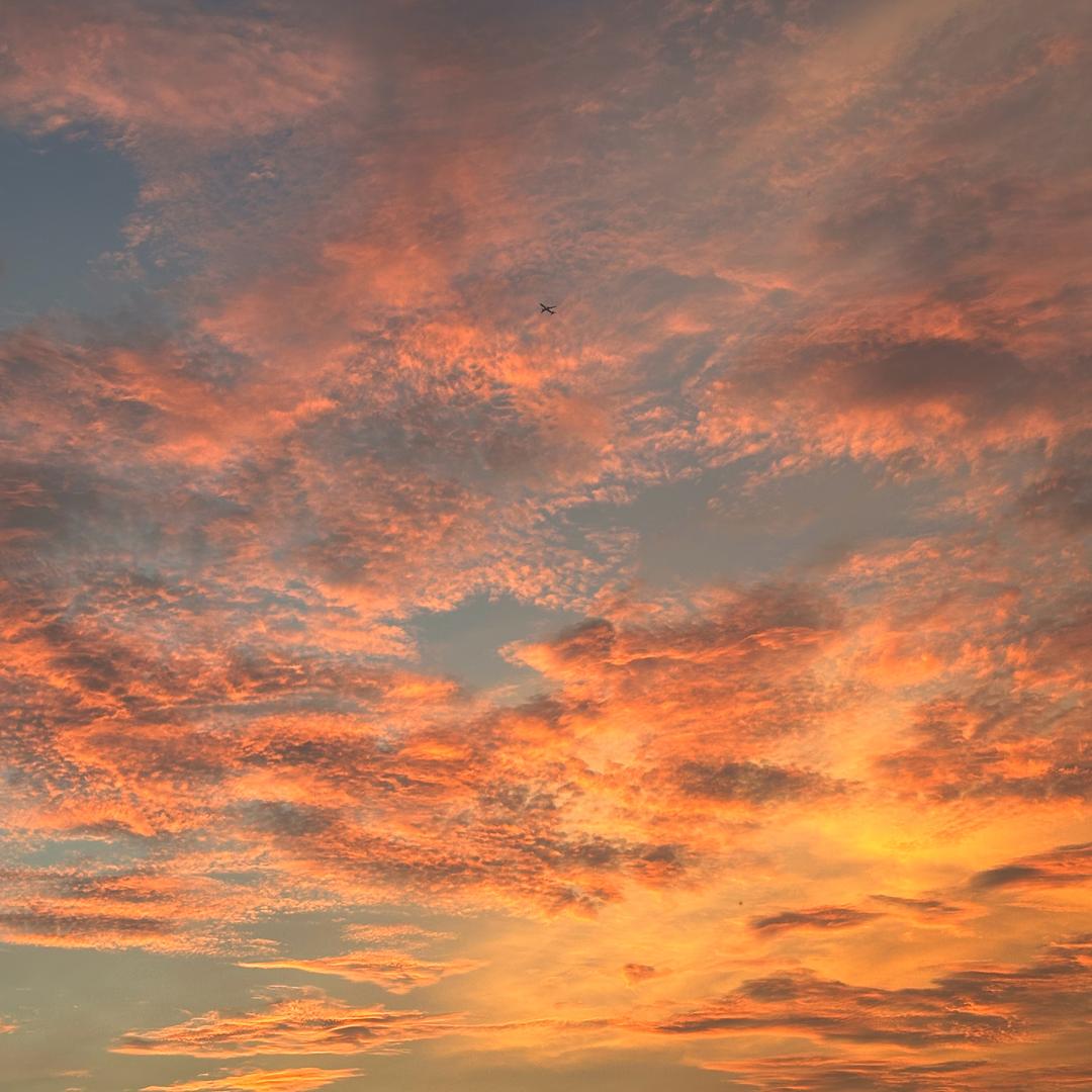 烤辣椒不要辣椒