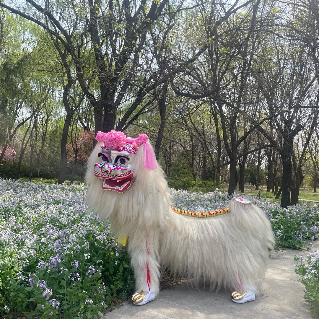 河南舞狮姐(燕子)