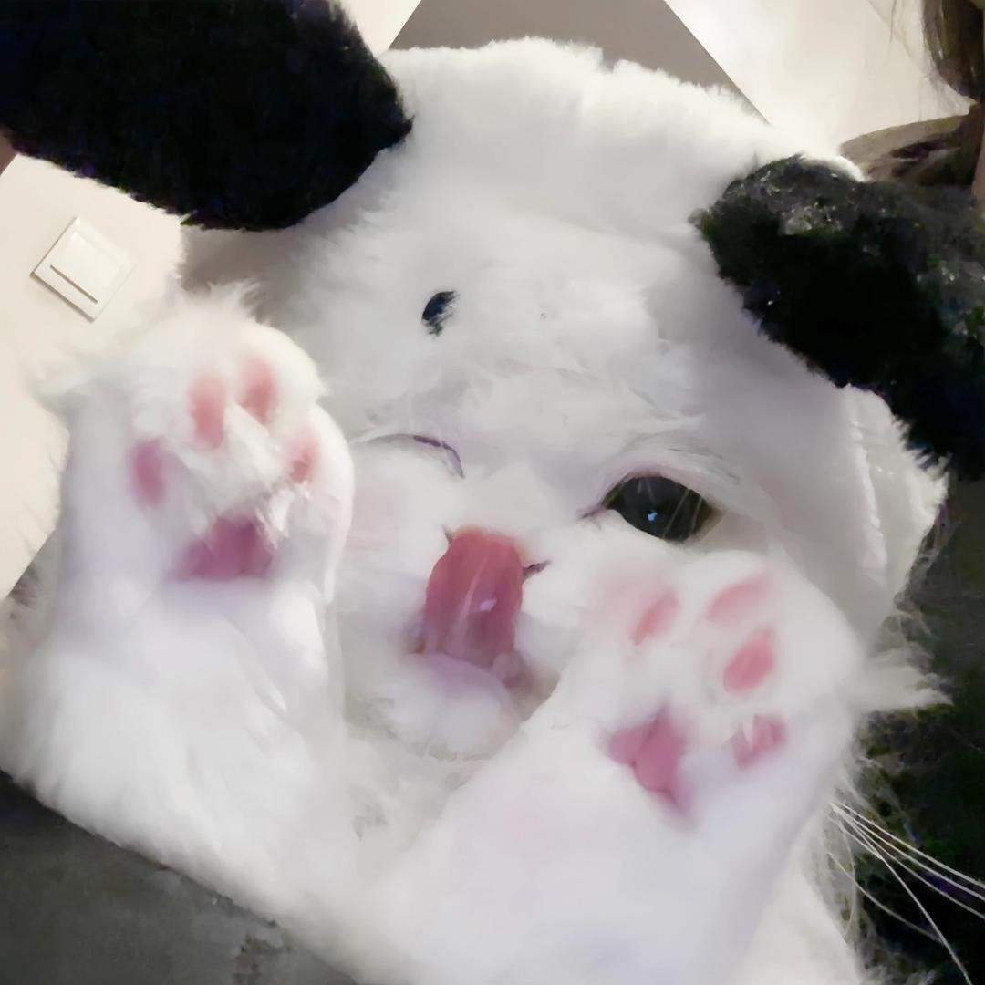小v.