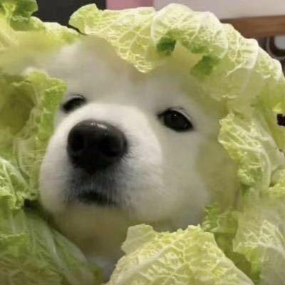 小周周喝🥣