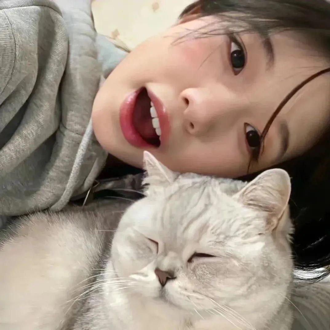 你的旅游搭子