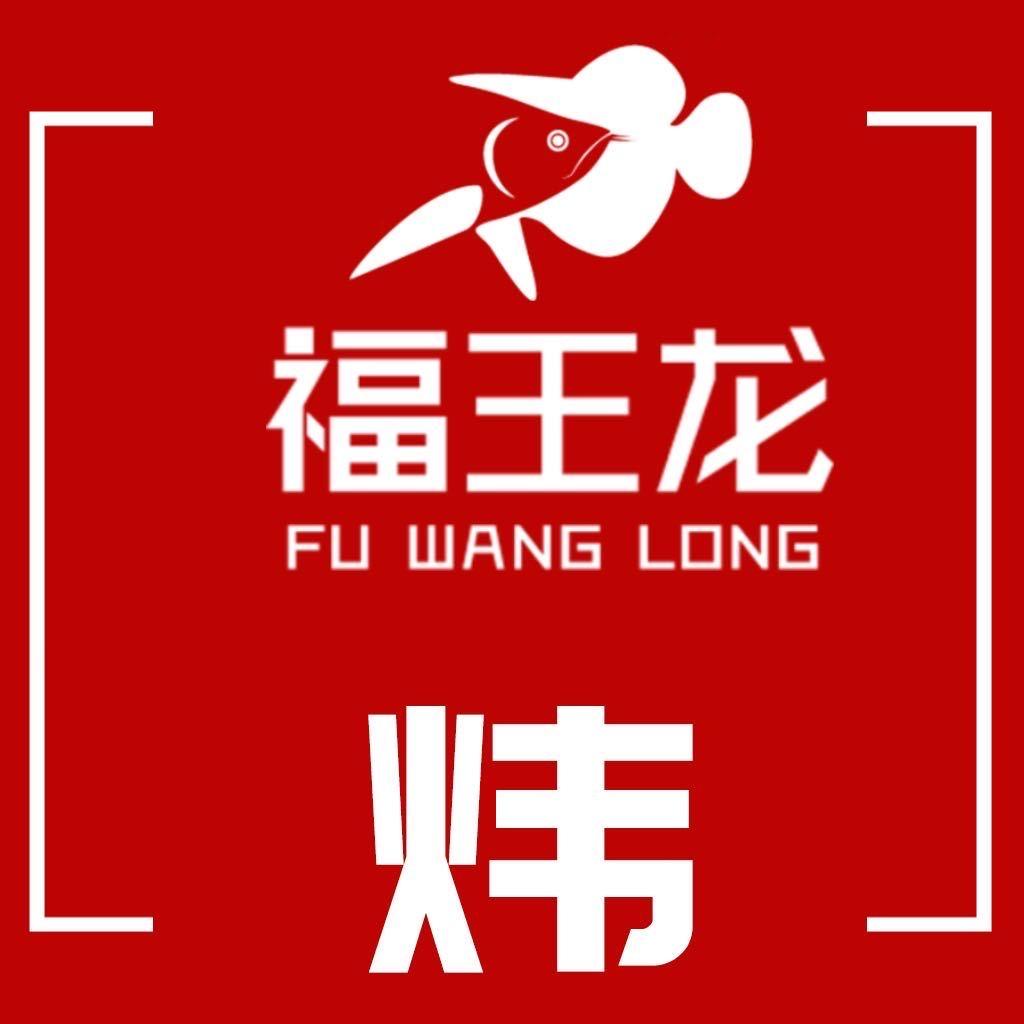 福王龙-阿伟养龙