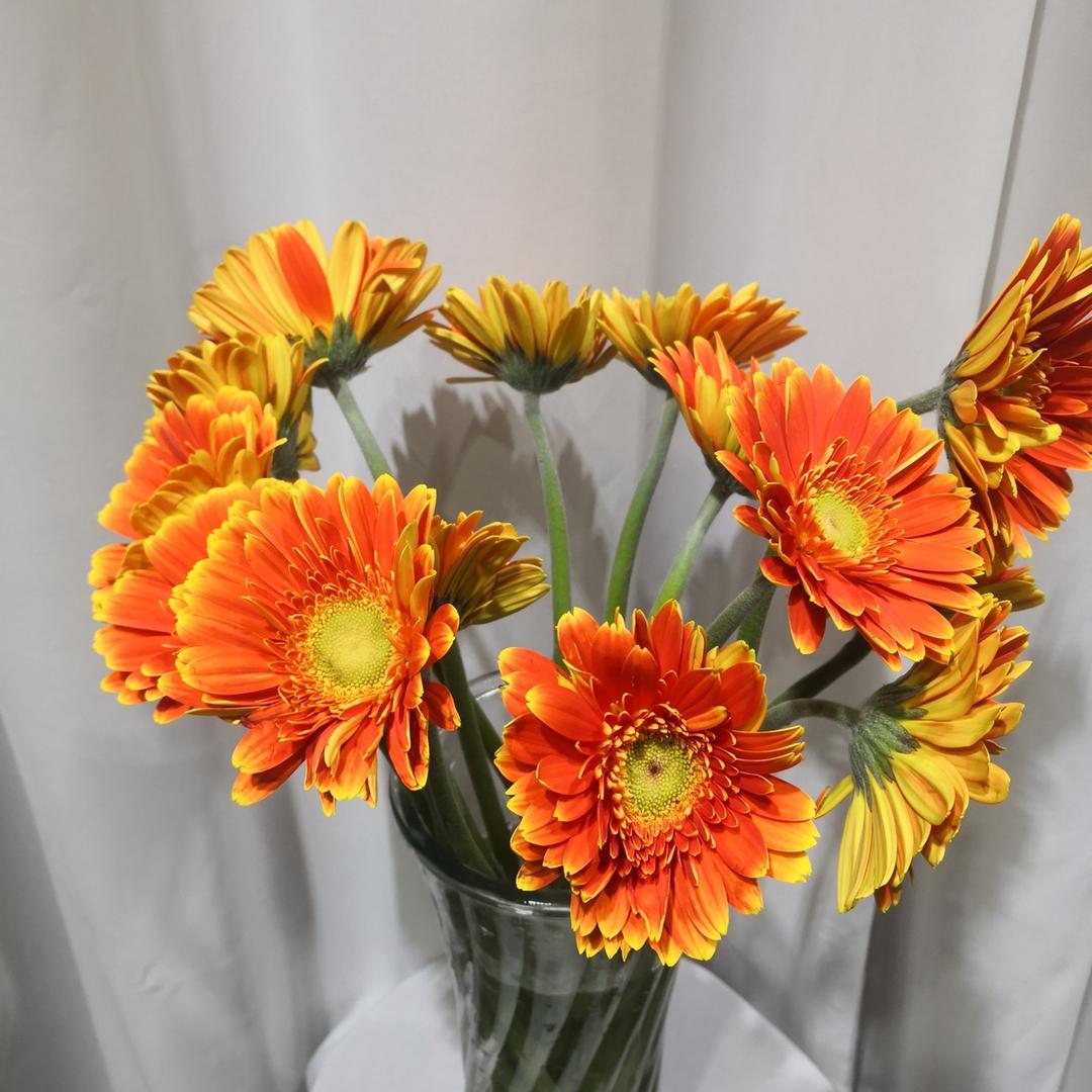 沈丘高速收费站