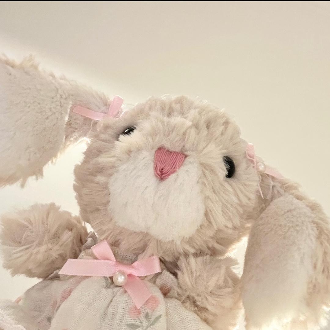 🐰