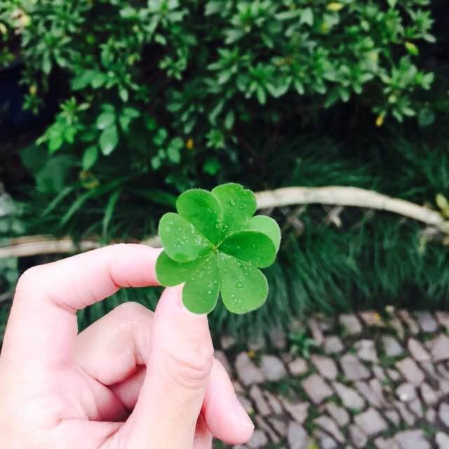 小王哥优选
