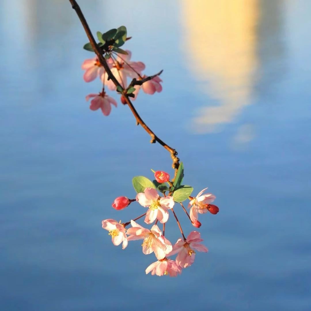 金选香薰蜡烛家居生活馆