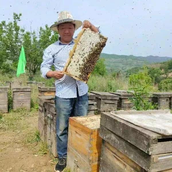 勇飞蜂蜜