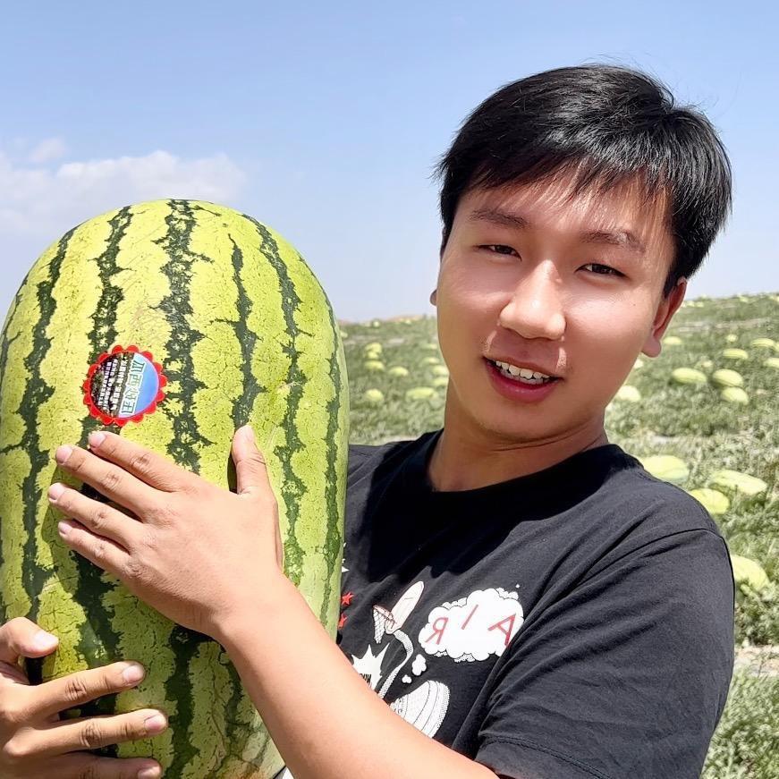 种了亩地
