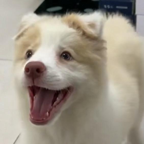 你闪姨